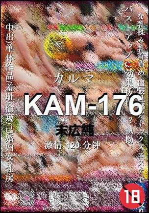 KAM-176种子