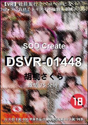 DSVR-01448