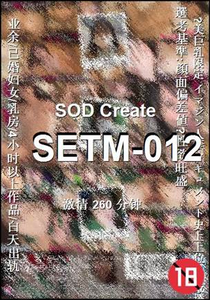 SETM-012����