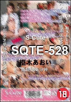 SQTE-528