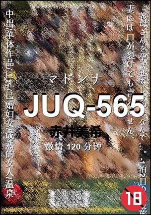 JUQ-565种子