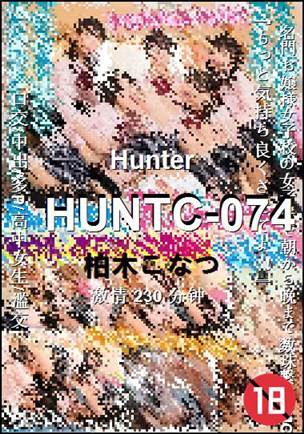 HUNTC-074种子