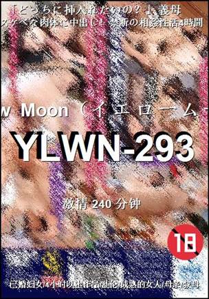 YLWN-293种子
