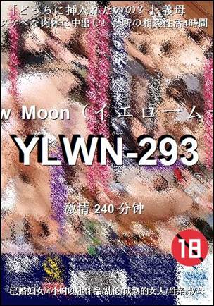 YLWN-293