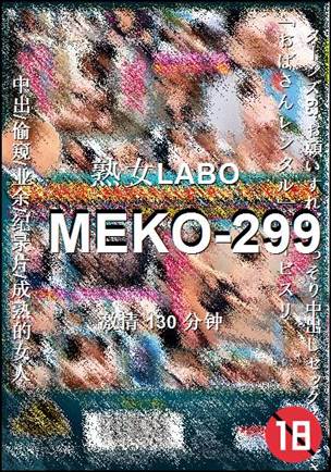 MEKO-299