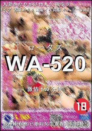 WA-520种子