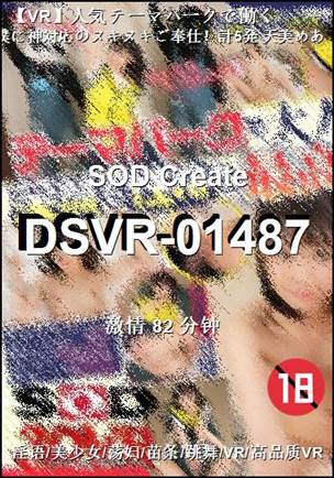 DSVR-01487����
