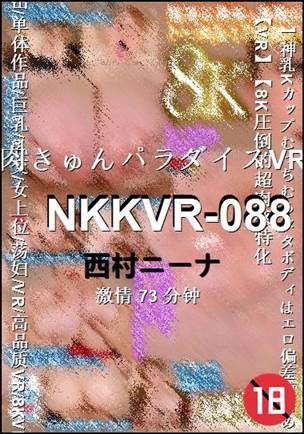 NKKVR-088种子
