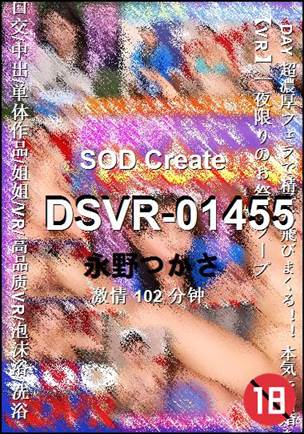 DSVR-01455