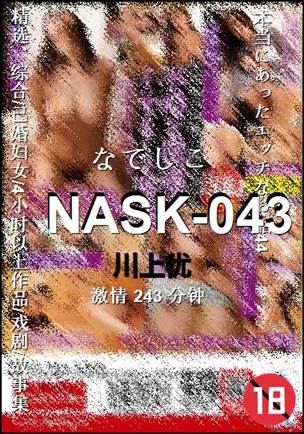 NASK-043