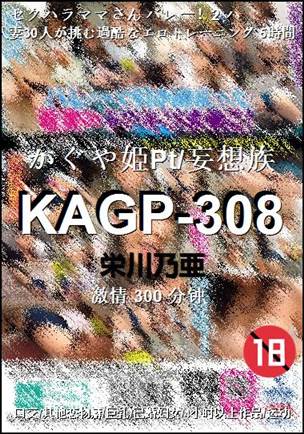 KAGP-308