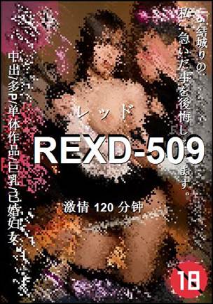 REXD-509