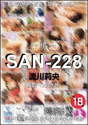 SAN-228����
