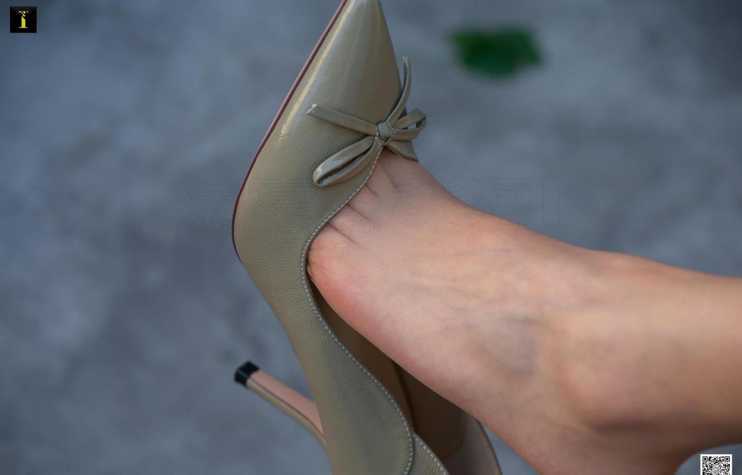 ��ڰ��ϴ��365��2���߲���