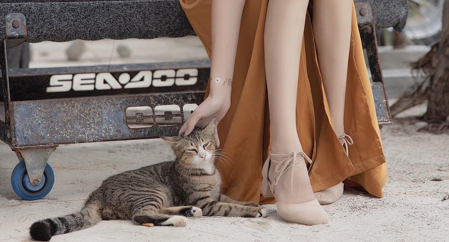 ��һ譱���ְ��Ļ