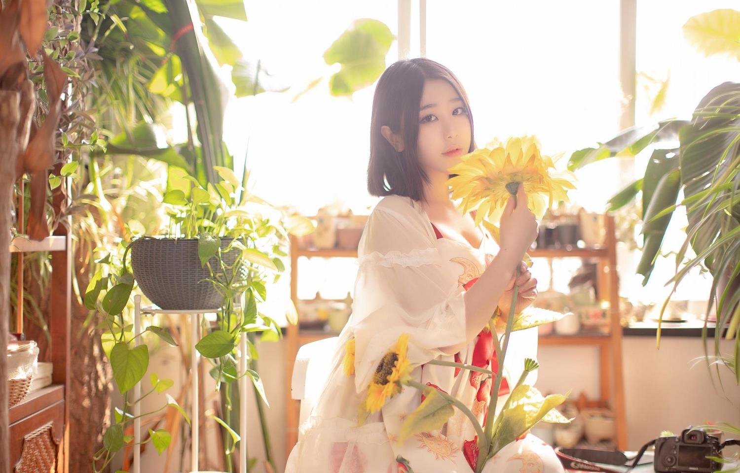 FREEZEFRAME�����ϸ�