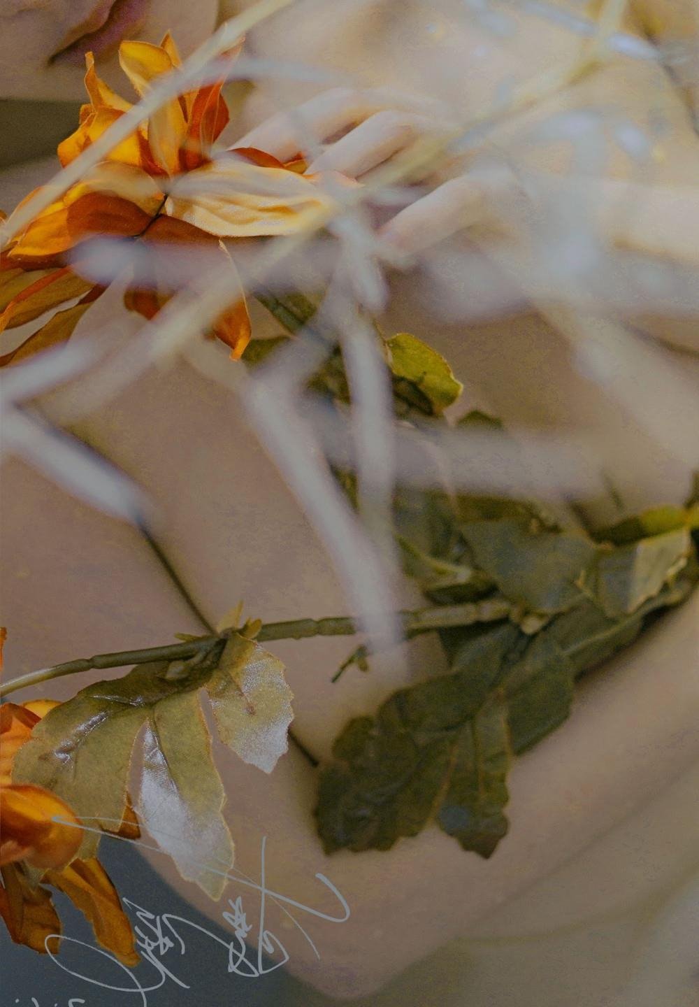 �й����ҳ���߹ۿ�