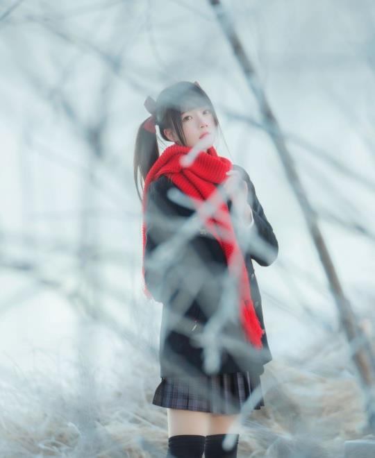 �鳽����Ƭ